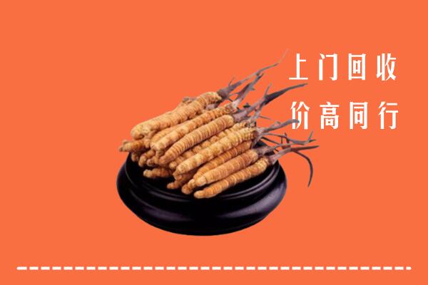 高价求购：张掖市肃南县回收散虫草