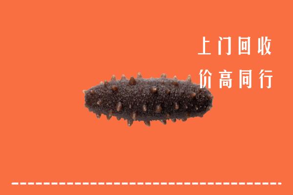 高价求购：张掖市肃南县回收海参
