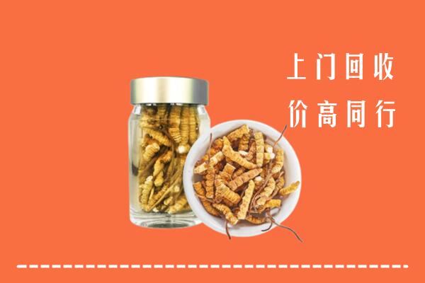 张掖市肃南县回收冬虫夏草